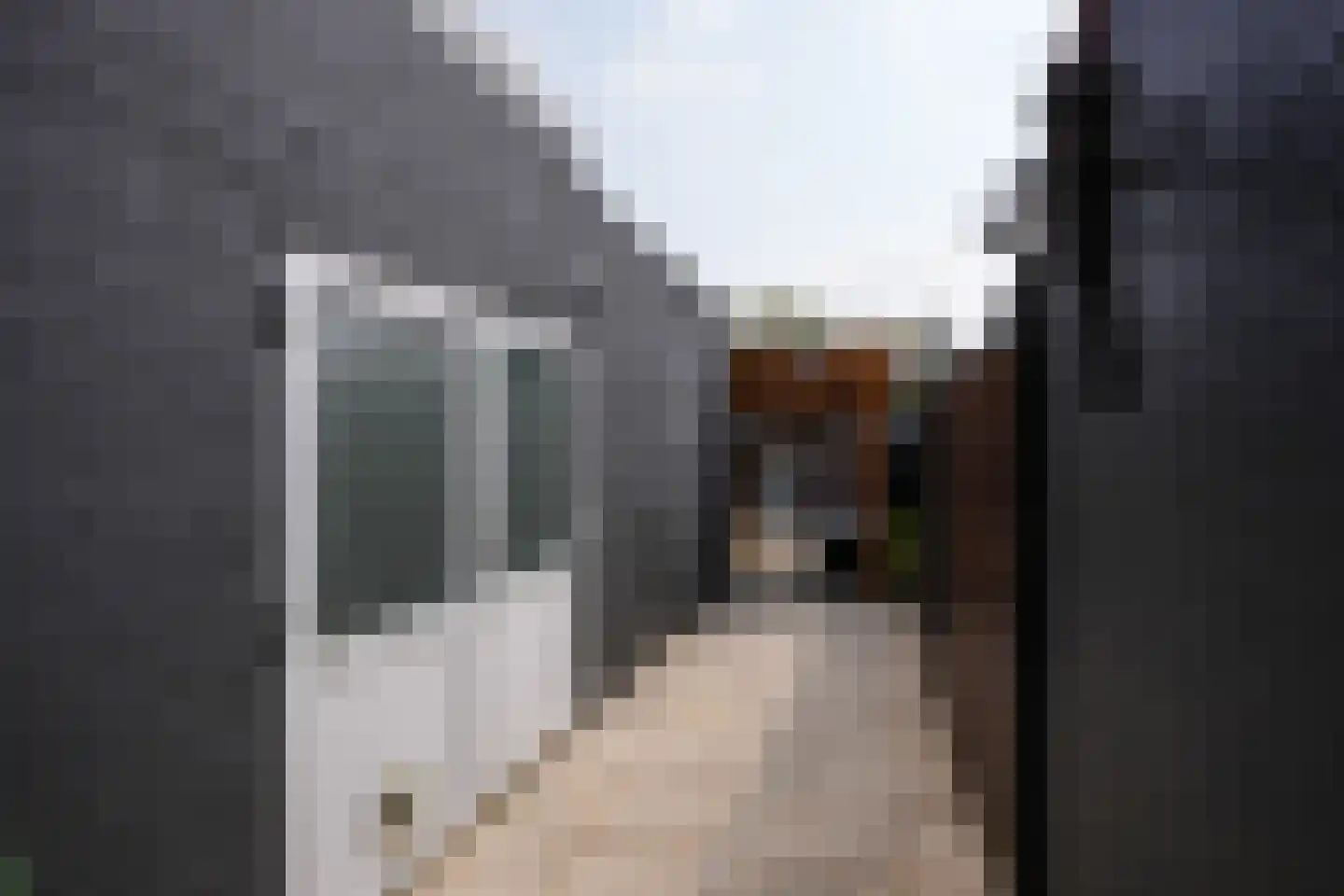 Antoniusstraat 38 Geleen thumbnail 29