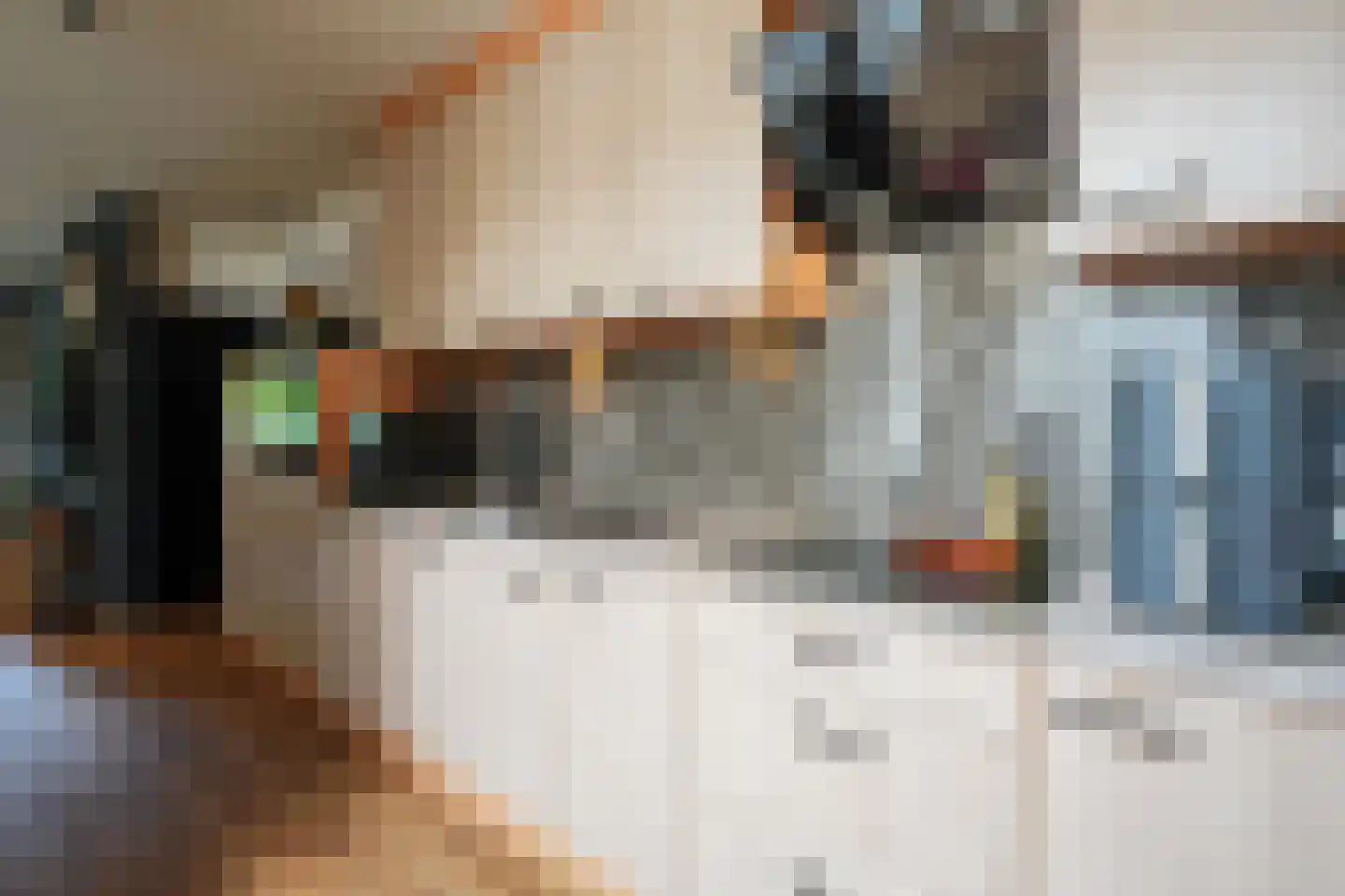 Antoniusstraat 38 Geleen thumbnail 8