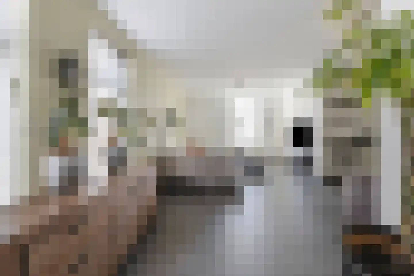 Antoniusstraat 39 Kaatsheuvel thumbnail 16