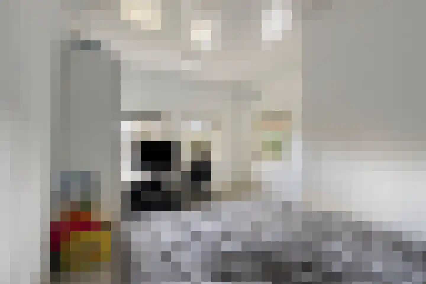 Antoniusstraat 39 Kaatsheuvel thumbnail 42
