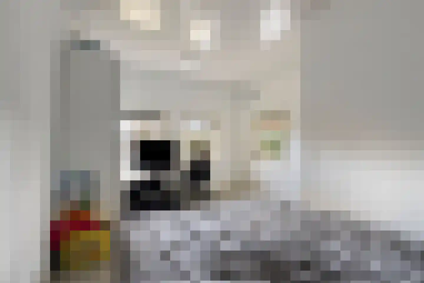 Antoniusstraat 39 Kaatsheuvel thumbnail 42