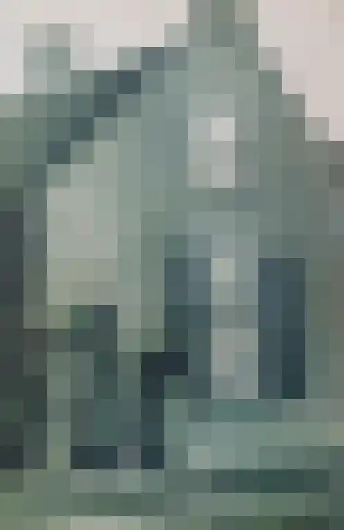 Antoniusstraat 39 Kaatsheuvel thumbnail 6