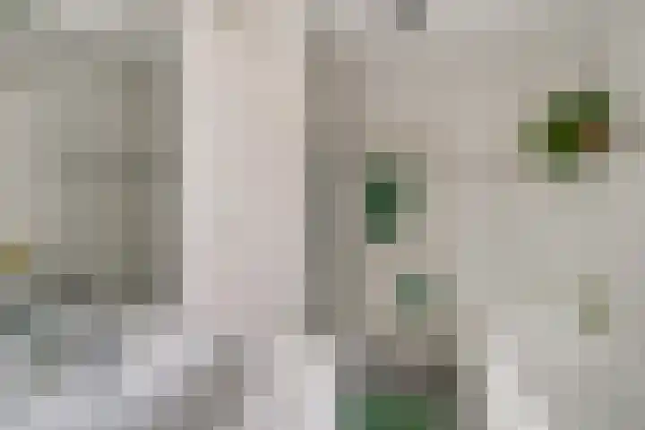 Antoniusstraat 4 Didam thumbnail 22