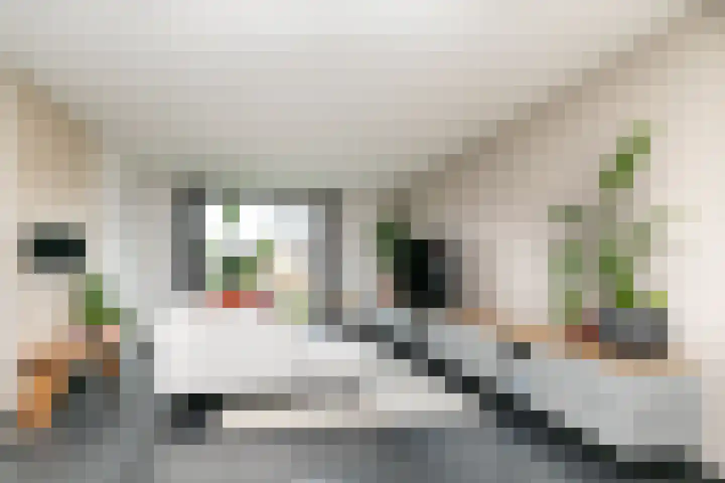 Antoniusstraat 41 Biest-Houtakker thumbnail 14