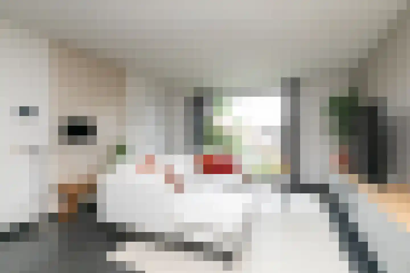 Antoniusstraat 41 Biest-Houtakker thumbnail 15