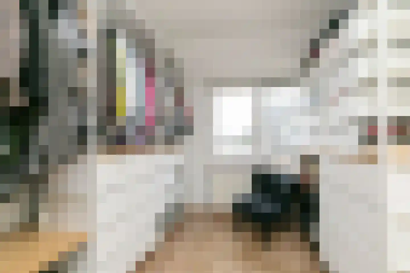 Antoniusstraat 41 Biest-Houtakker thumbnail 17