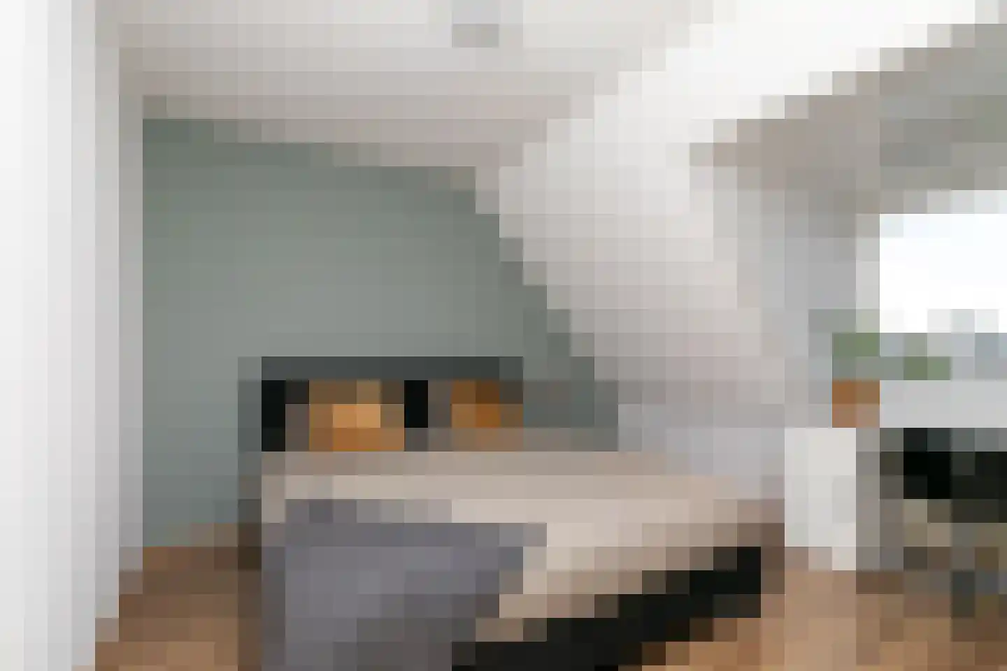 Antoniusstraat 41 Biest-Houtakker thumbnail 18