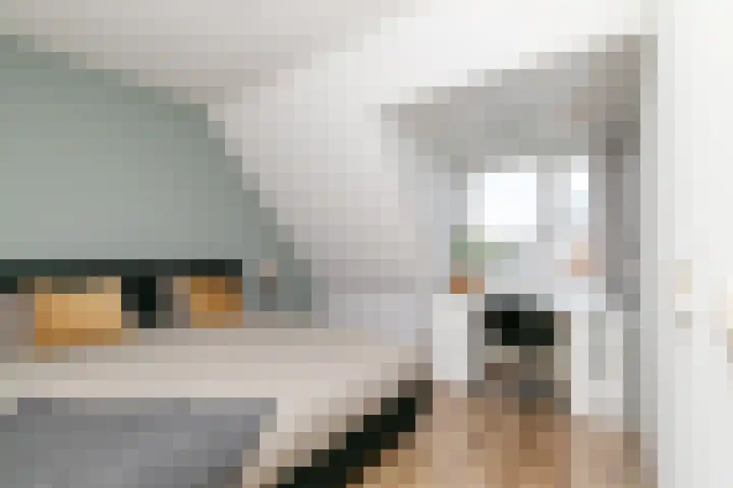 Antoniusstraat 41 Biest-Houtakker thumbnail 19