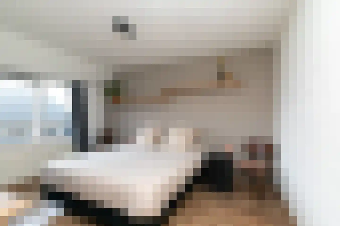 Antoniusstraat 41 Biest-Houtakker thumbnail 21