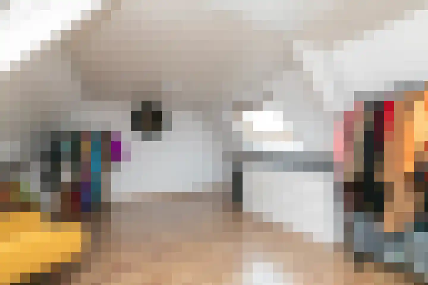 Antoniusstraat 41 Biest-Houtakker thumbnail 25
