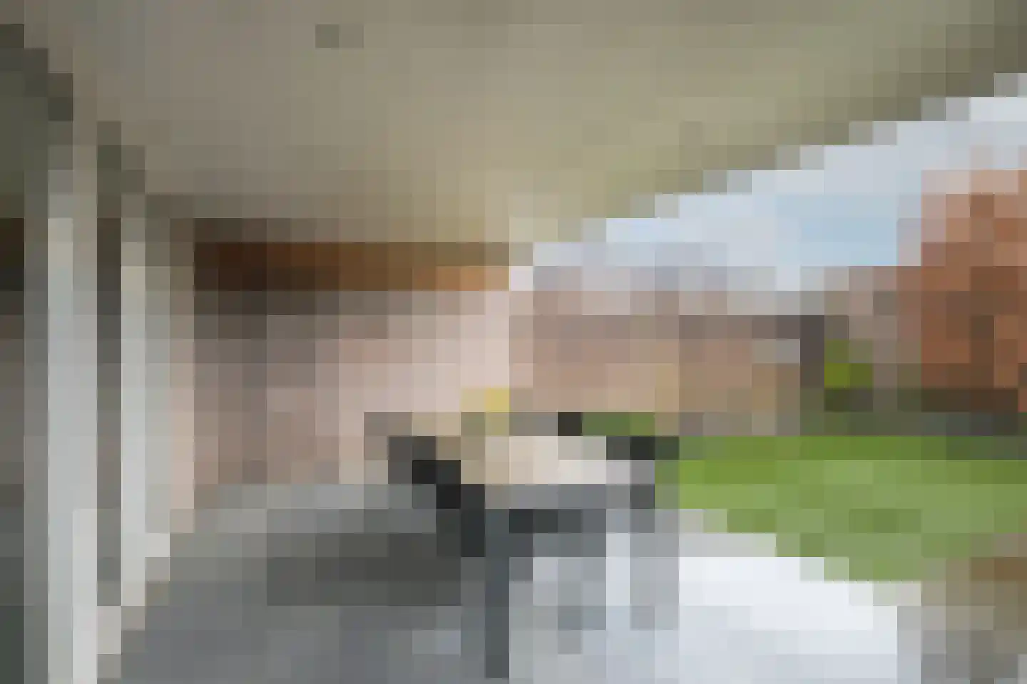 Antoniusstraat 41 Biest-Houtakker thumbnail 29