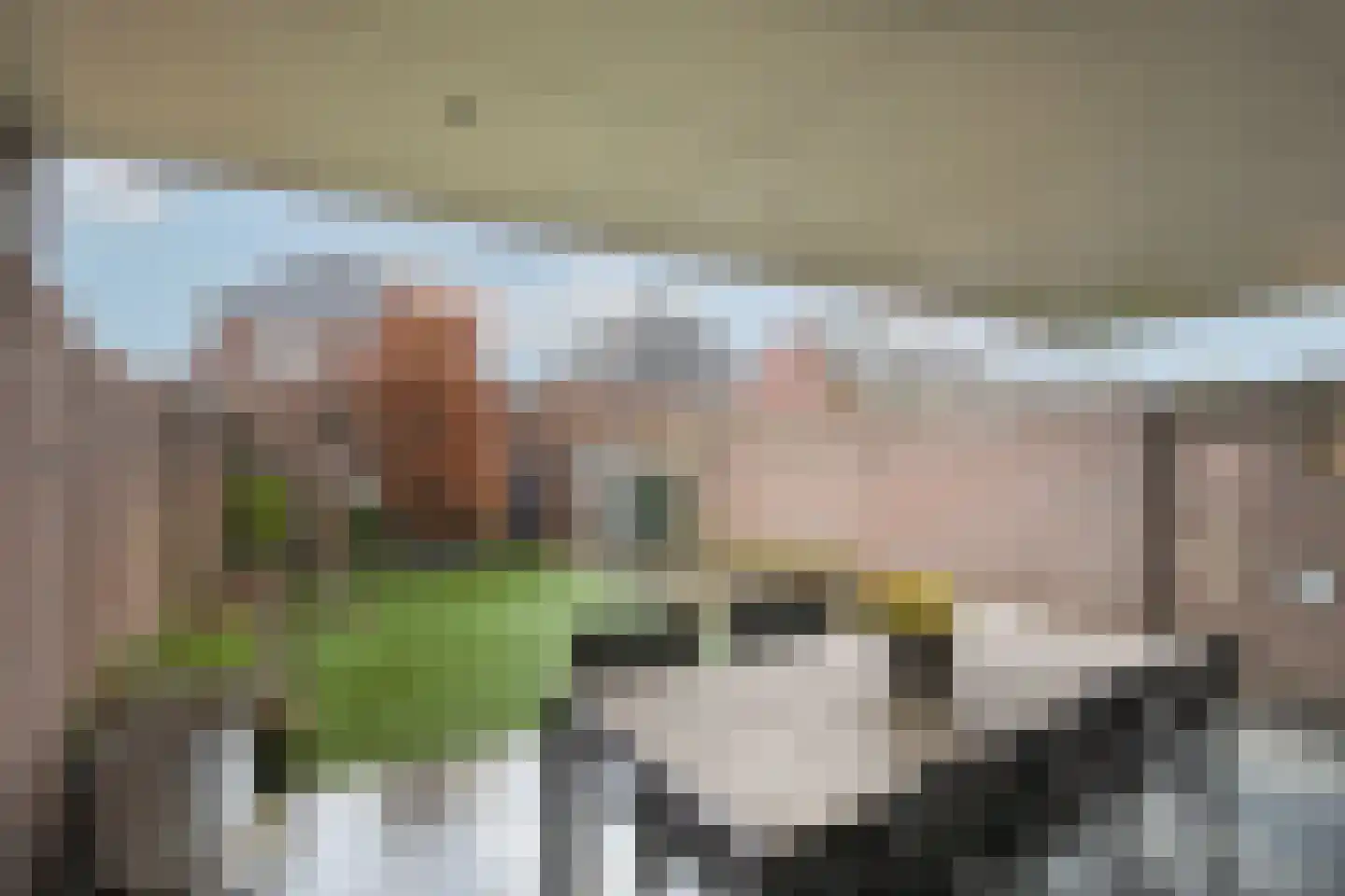 Antoniusstraat 41 Biest-Houtakker thumbnail 30