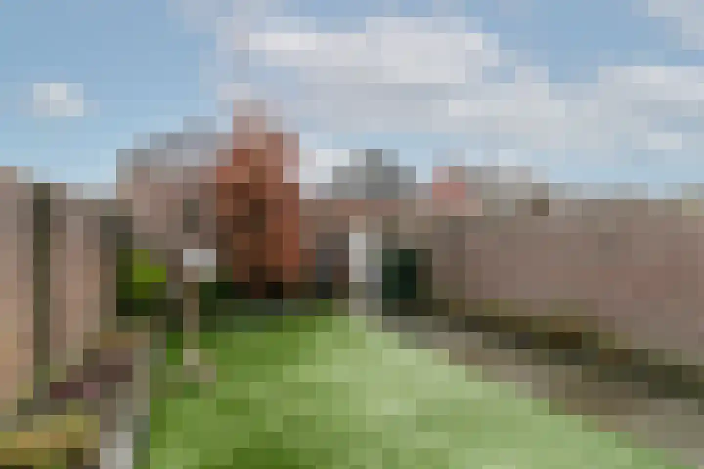 Antoniusstraat 41 Biest-Houtakker thumbnail 31