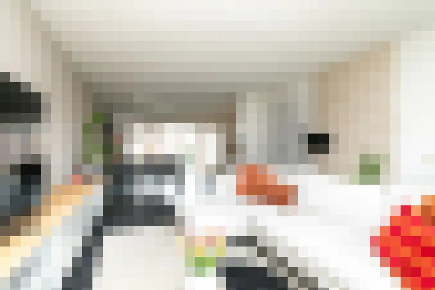 Antoniusstraat 41 Biest-Houtakker thumbnail 4