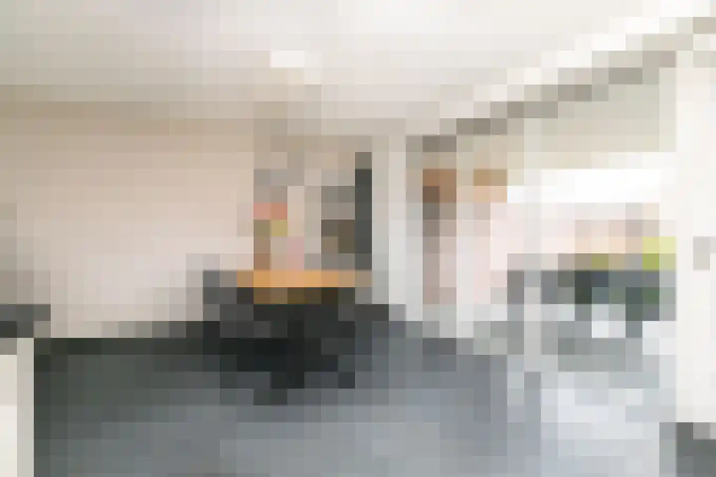 Antoniusstraat 41 Biest-Houtakker thumbnail 5