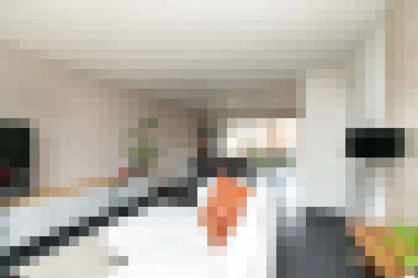 Antoniusstraat 41 Biest-Houtakker thumbnail 8