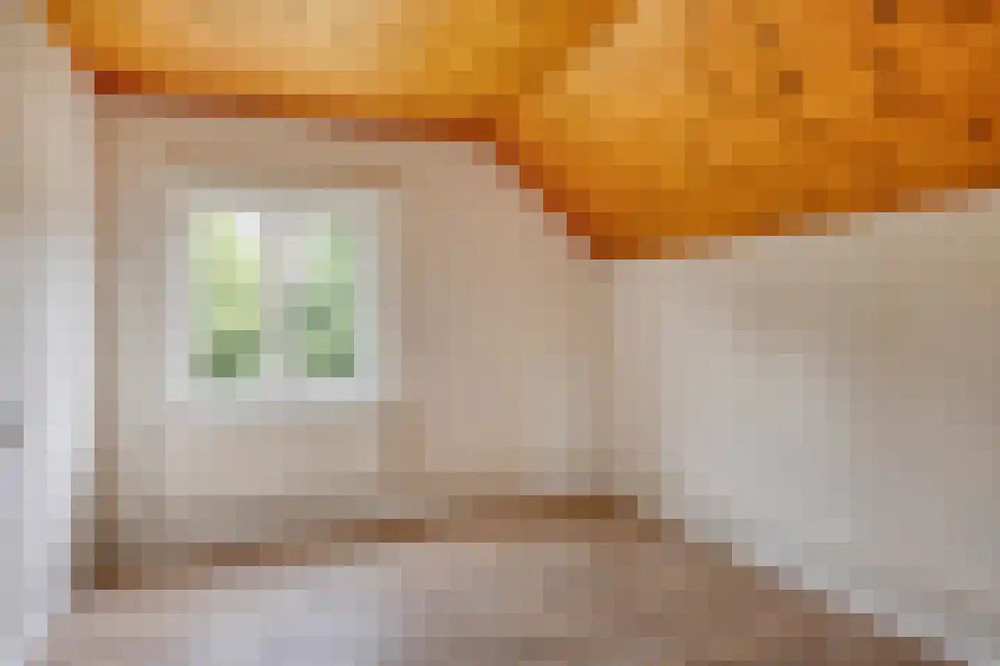 Antoniusstraat 41 Erp thumbnail 22