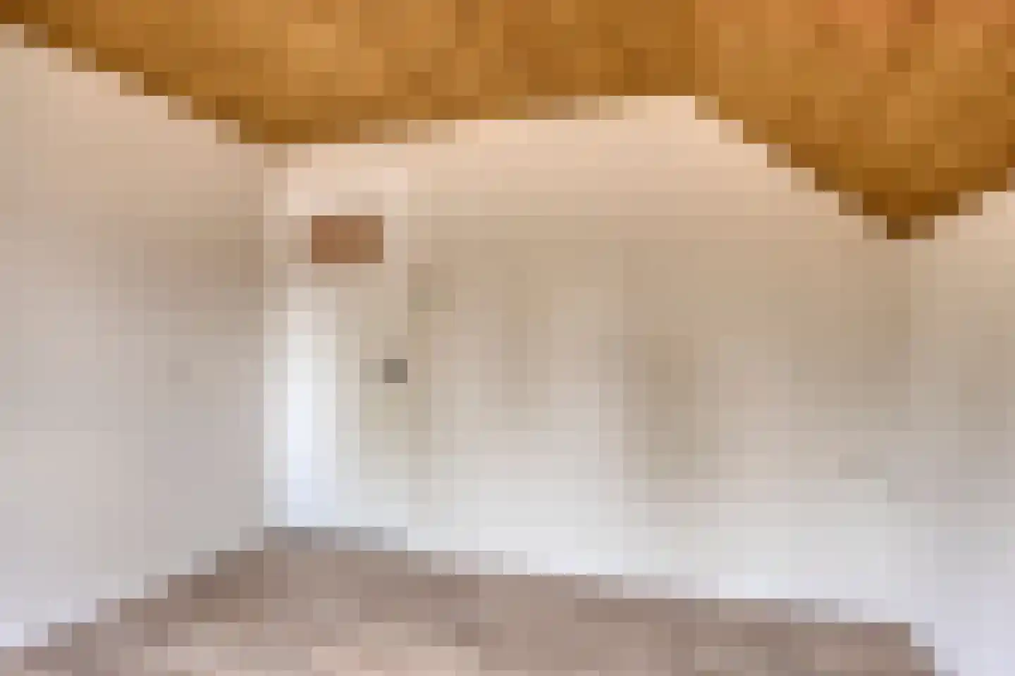 Antoniusstraat 41 Erp thumbnail 25