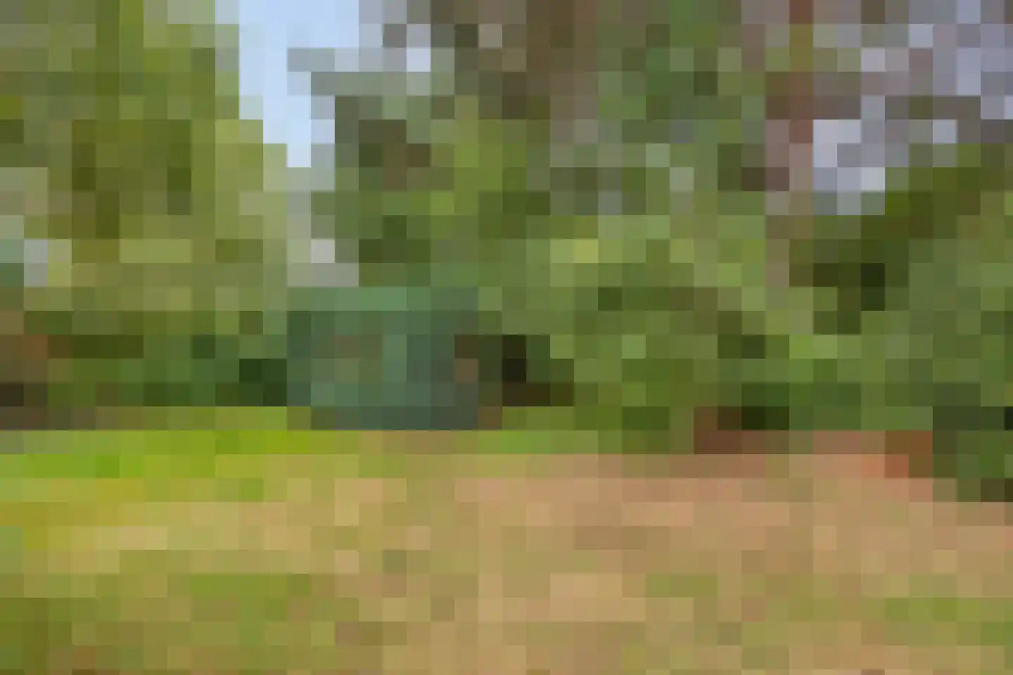 Antoniusstraat 41 Erp thumbnail 28