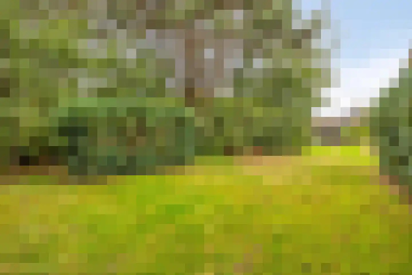 Antoniusstraat 41 Erp thumbnail 29