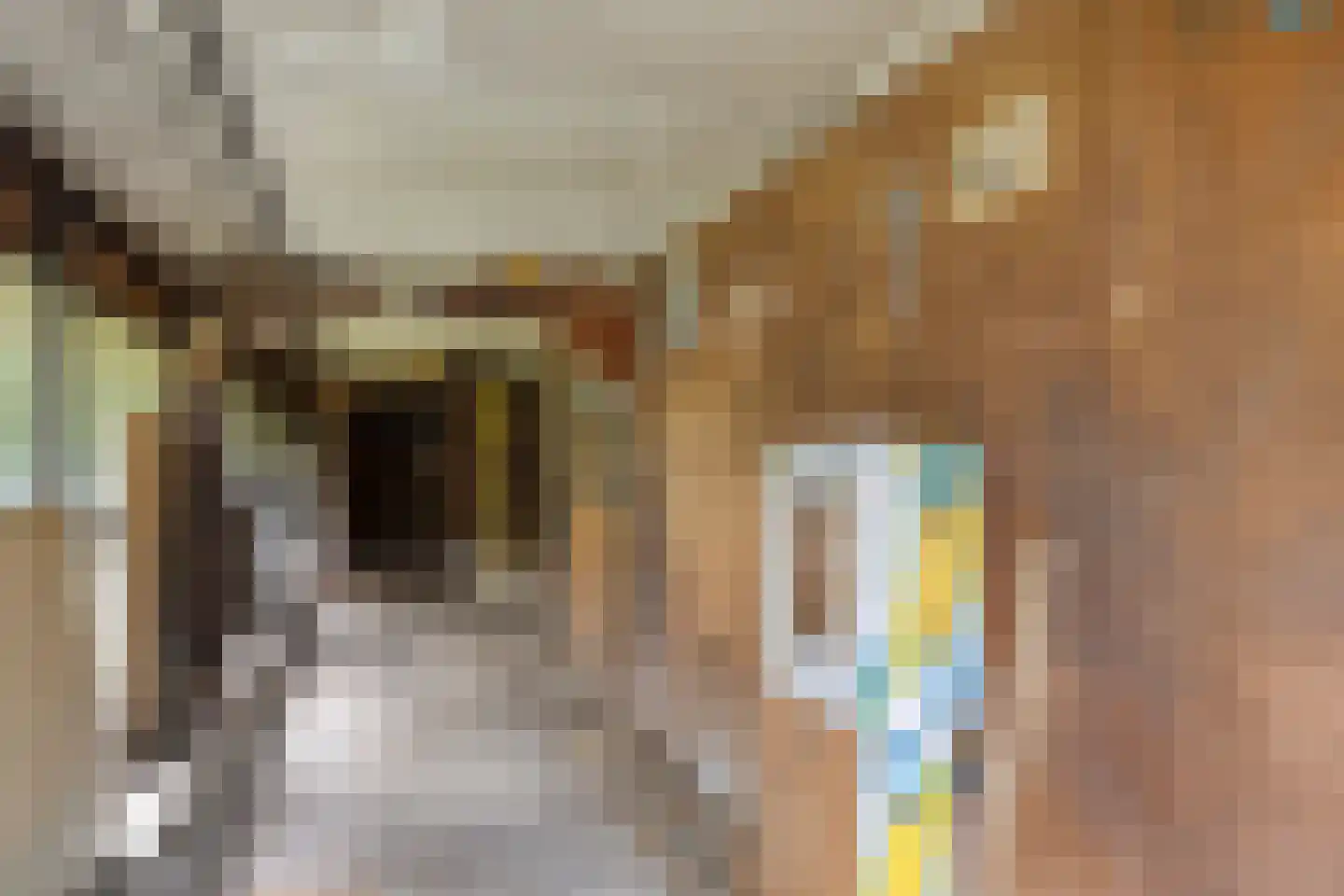 Antoniusstraat 41 Erp thumbnail 32