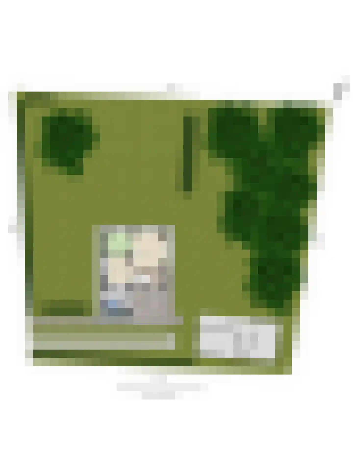 Antoniusstraat 41 Erp thumbnail 33