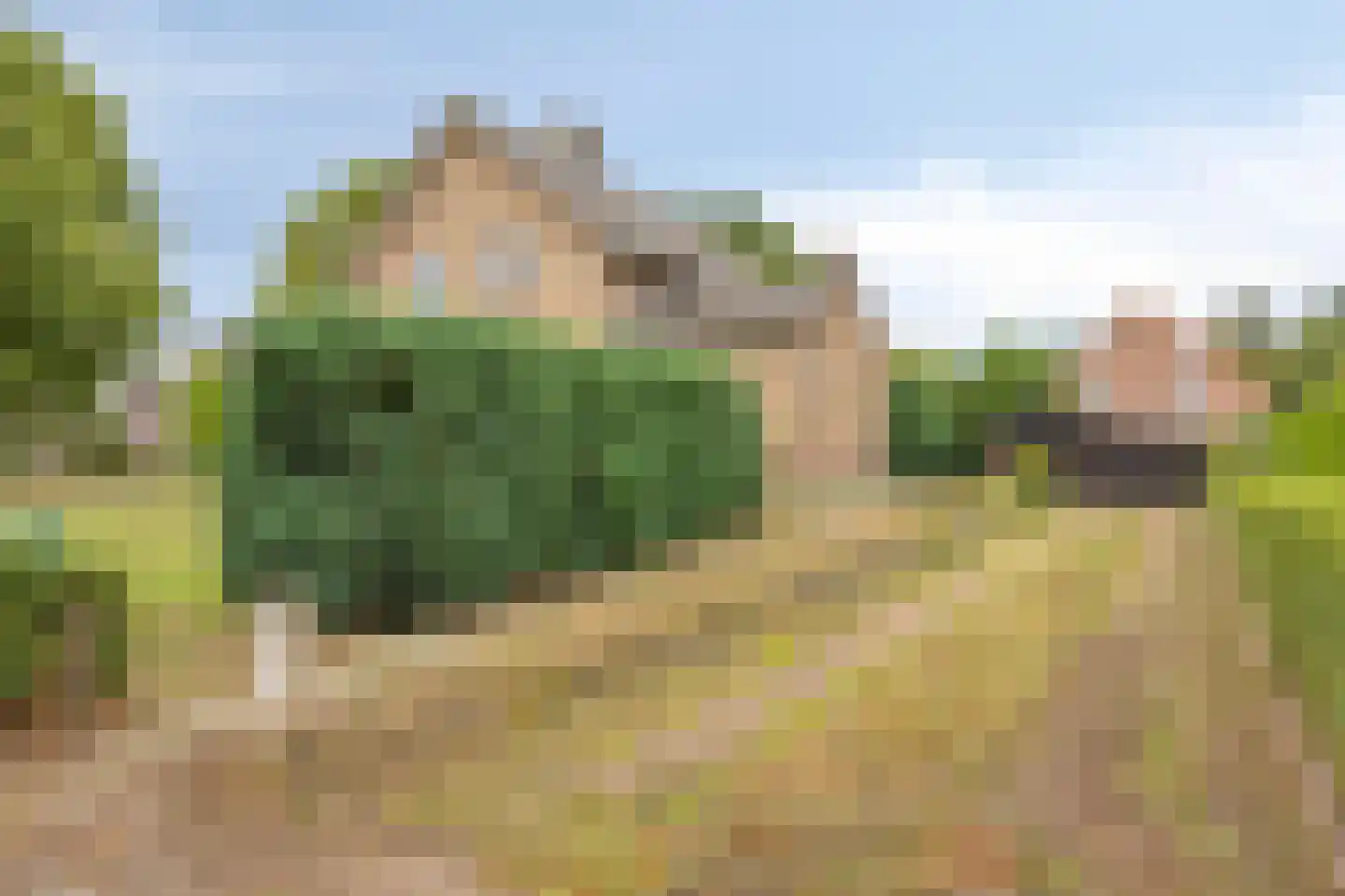 Antoniusstraat 41 Erp thumbnail 9