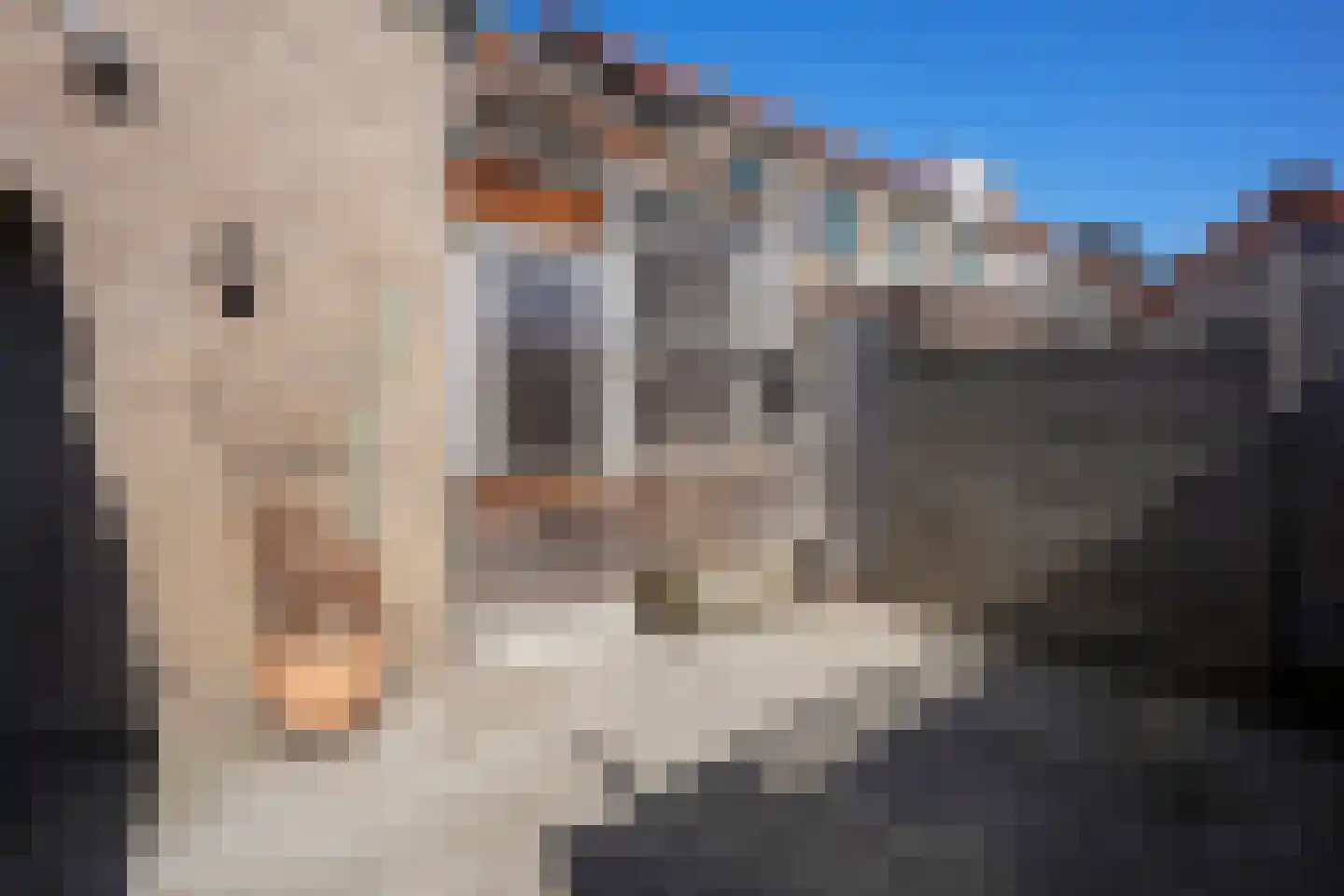 Antoniusstraat 44 Geleen thumbnail 24