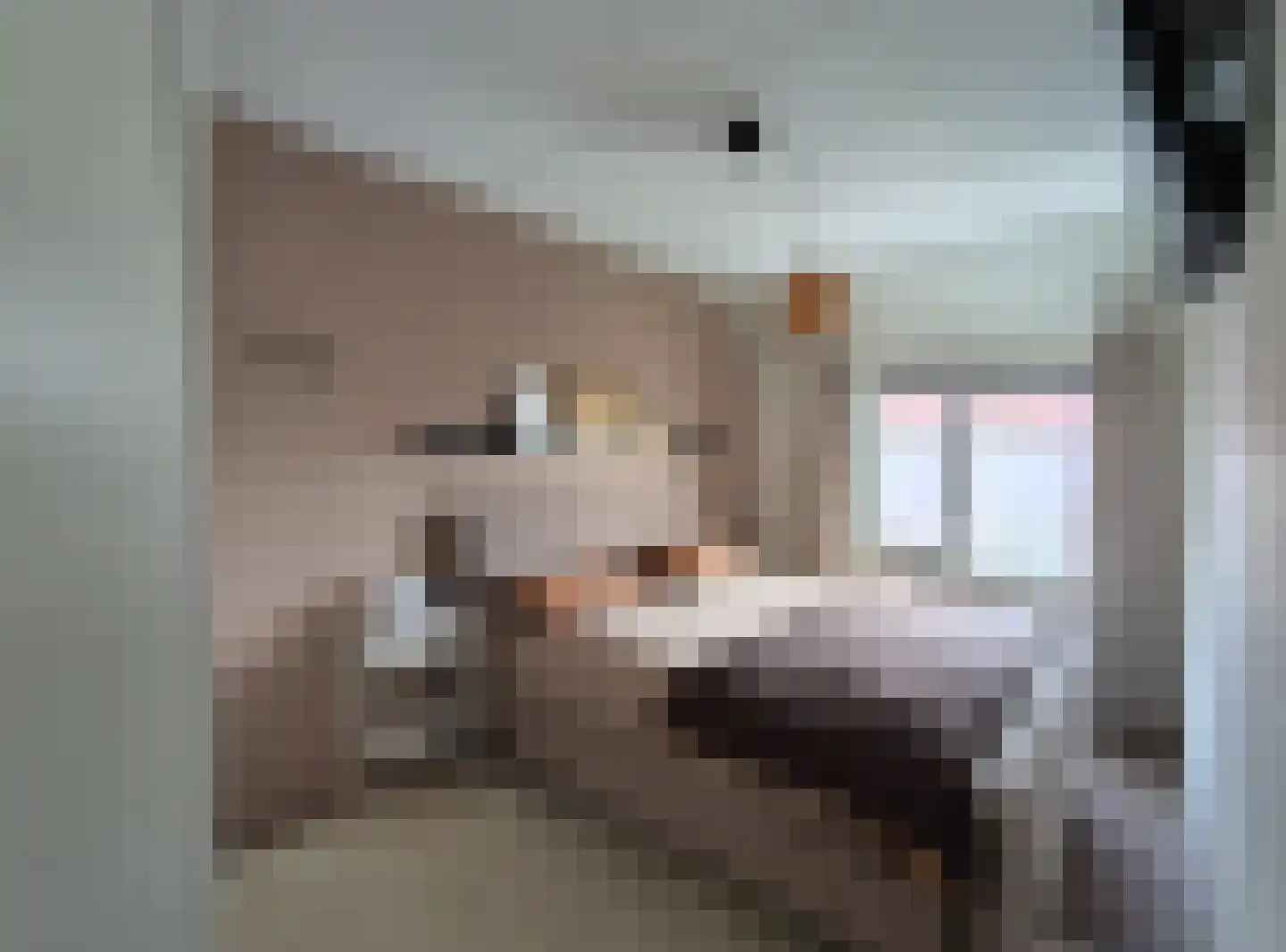 Antoniusstraat 45 Ven-Zelderheide thumbnail 16
