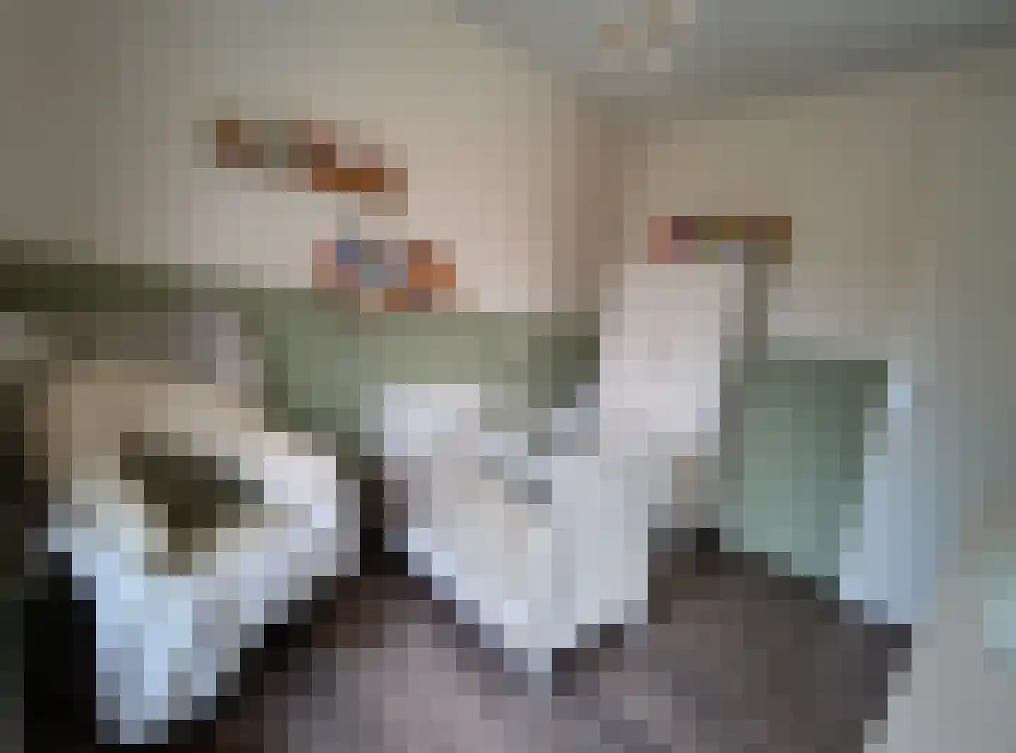 Antoniusstraat 45 Ven-Zelderheide thumbnail 19
