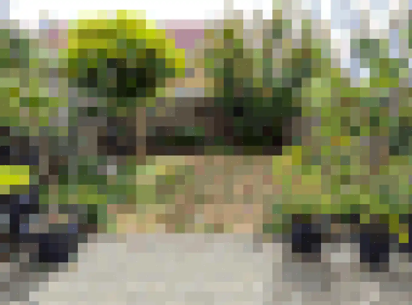 Antoniusstraat 45 Ven-Zelderheide thumbnail 5