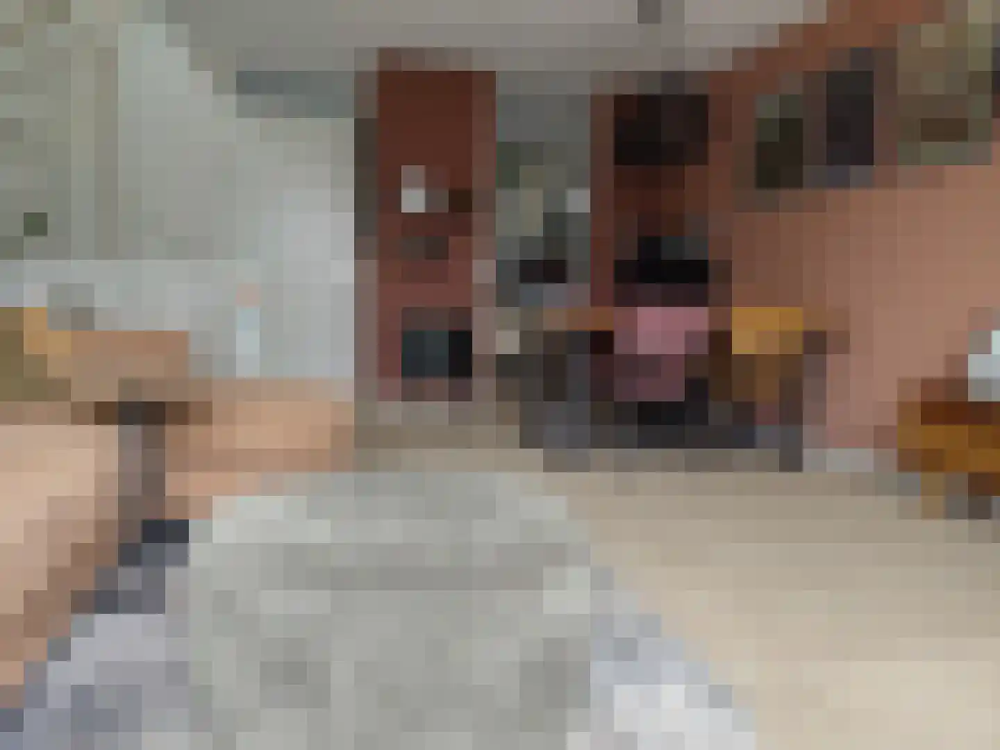 Antoniusstraat 45 Ven-Zelderheide thumbnail 6