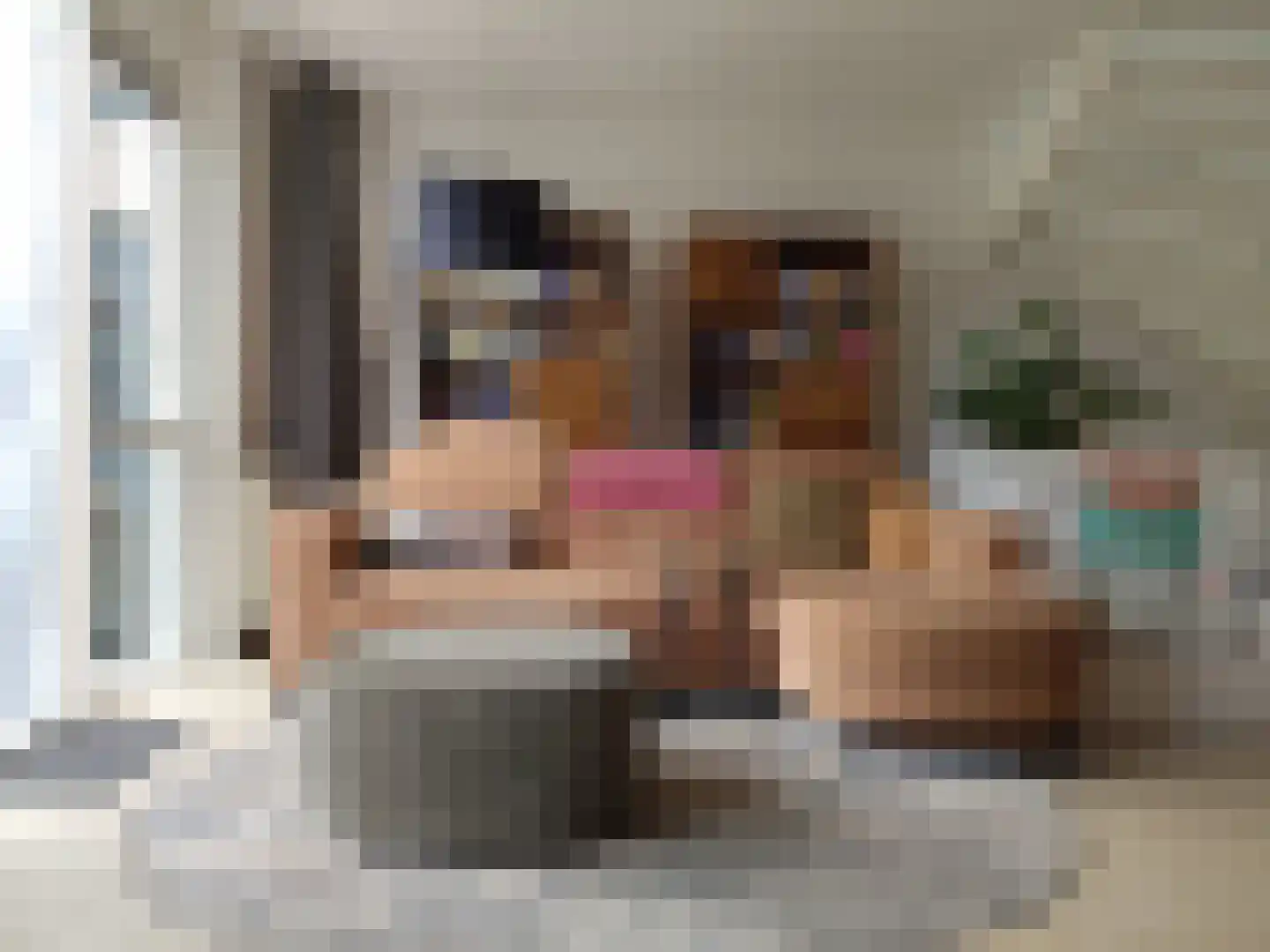 Antoniusstraat 45 Ven-Zelderheide thumbnail 7