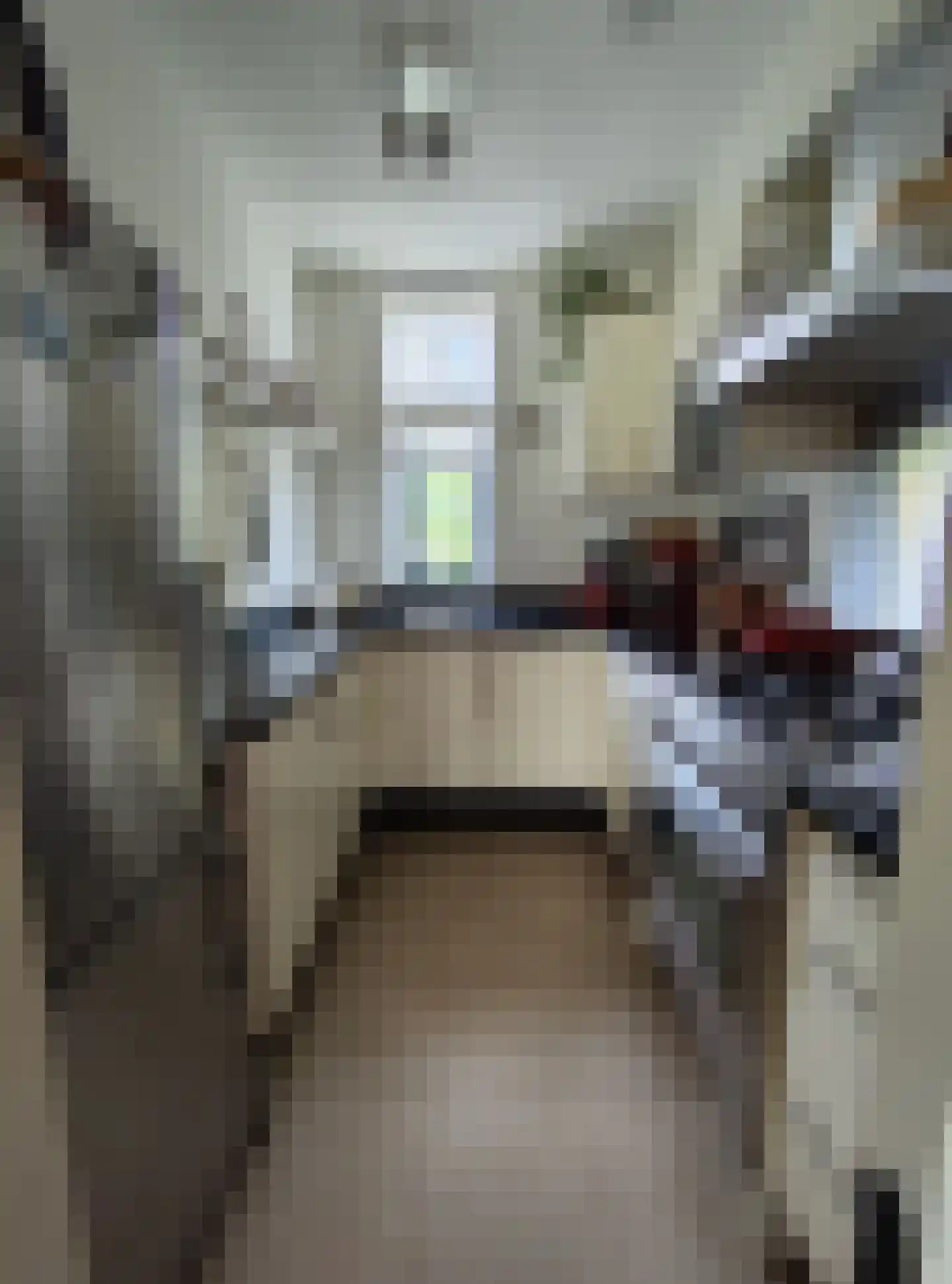 Antoniusstraat 45 Ven-Zelderheide thumbnail 9