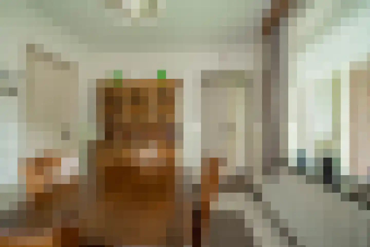 Antoniusstraat 7 Milheeze thumbnail 14
