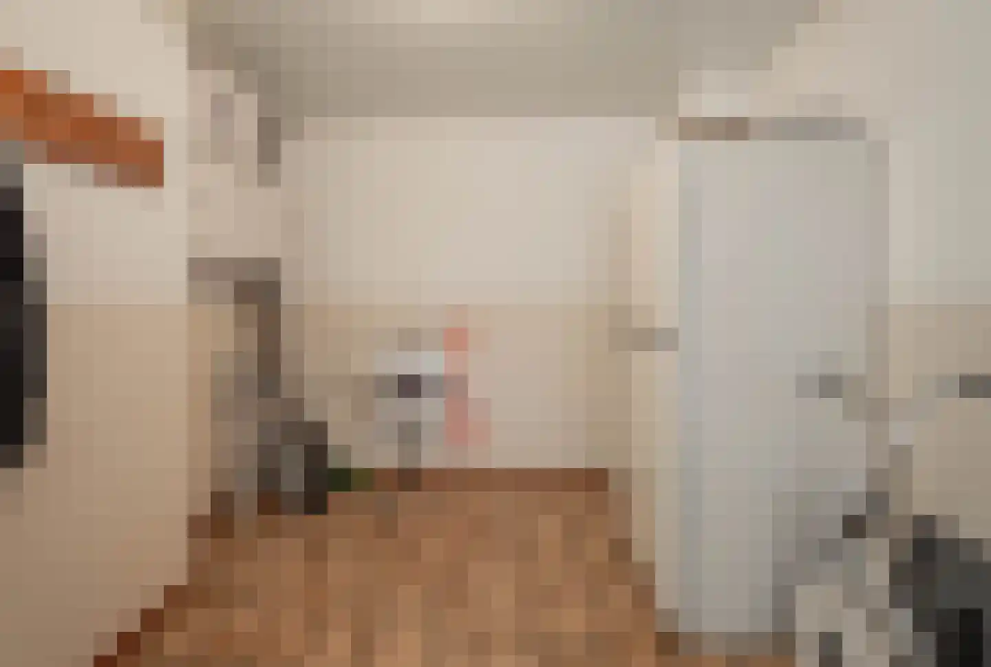 Antoniusstraat 7 Milheeze thumbnail 16