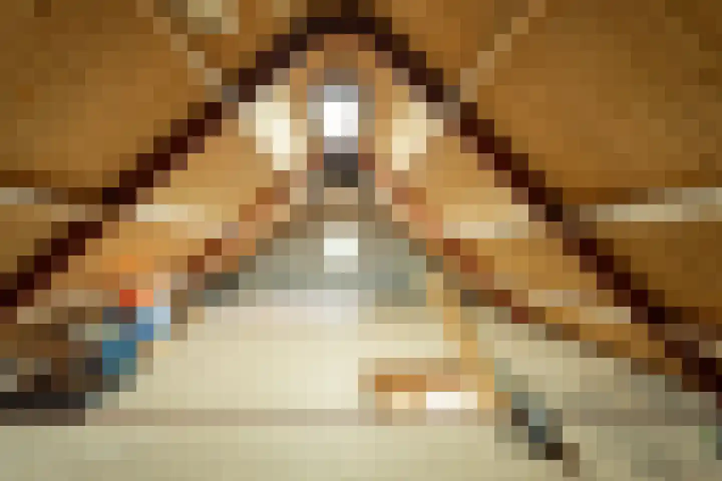 Antoniusstraat 7 Milheeze thumbnail 45