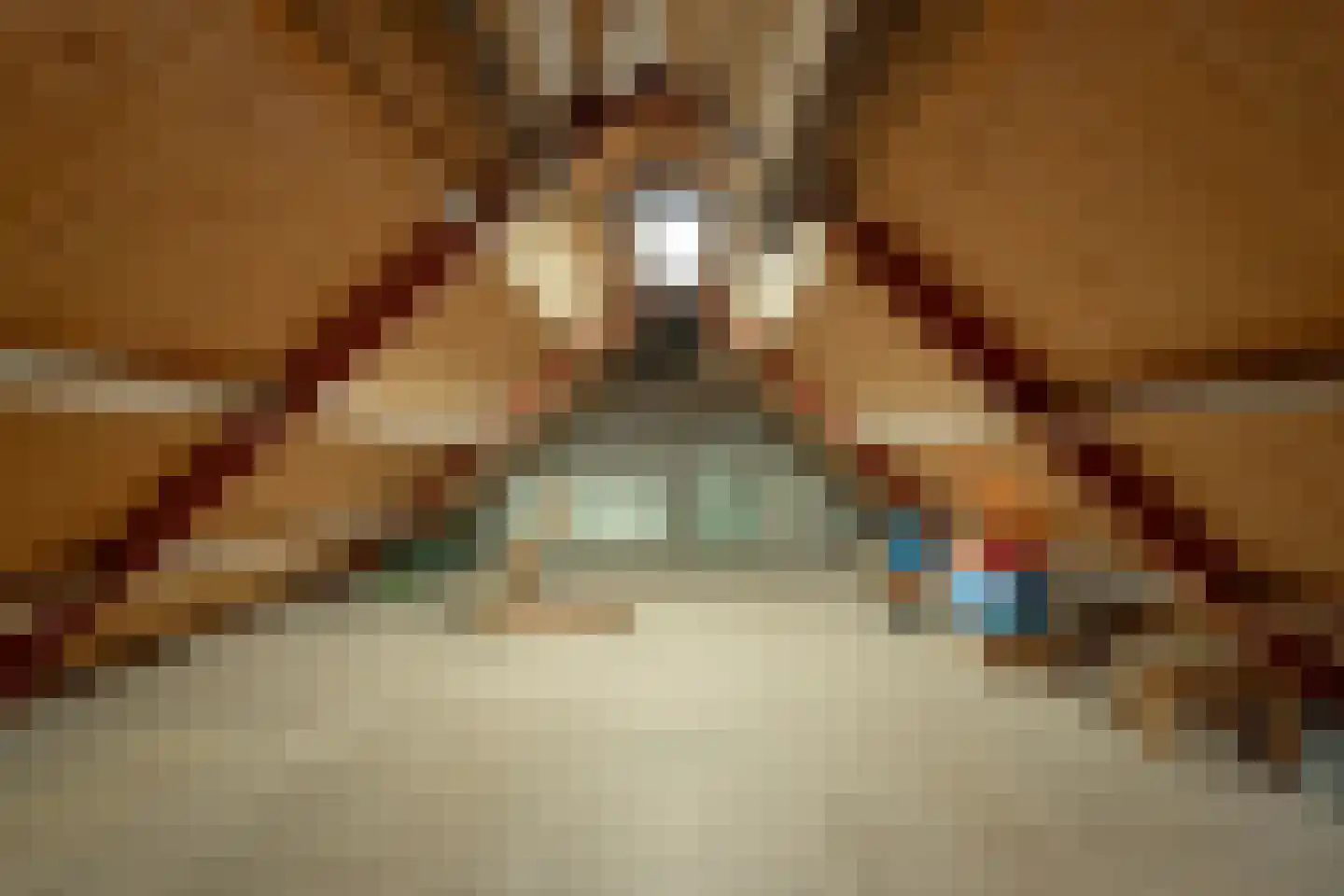 Antoniusstraat 7 Milheeze thumbnail 46