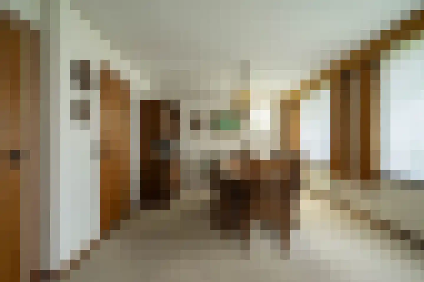 Antoniusstraat 7 Milheeze thumbnail 7
