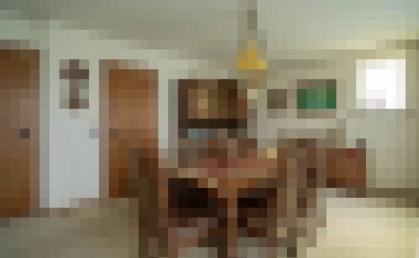 Antoniusstraat 7 Milheeze thumbnail 8