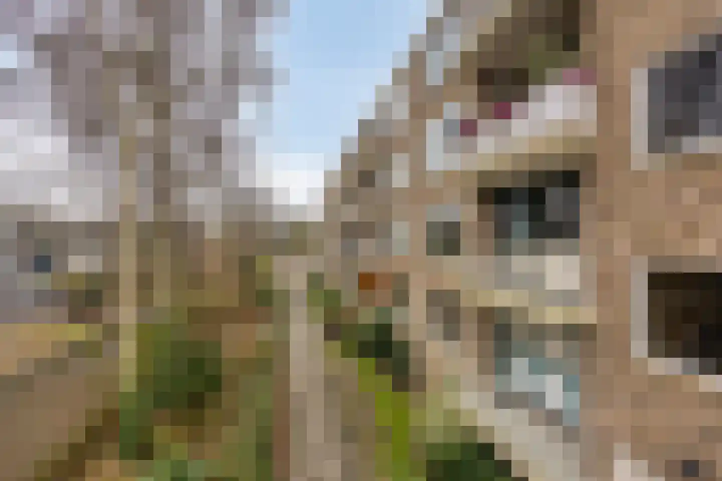 Antoniusstraat 76 Geleen thumbnail 18