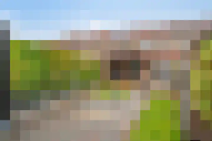 Antoniusstraat 76 Geleen thumbnail 25