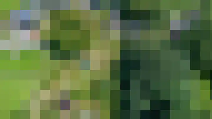 Antoniusstraat 76 Geleen thumbnail 31