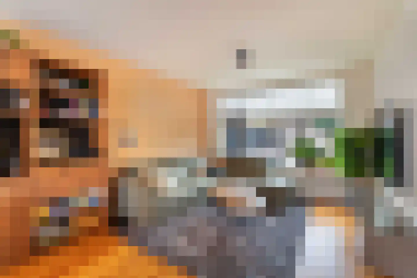 Antoniusstraat 8 Ell thumbnail 13