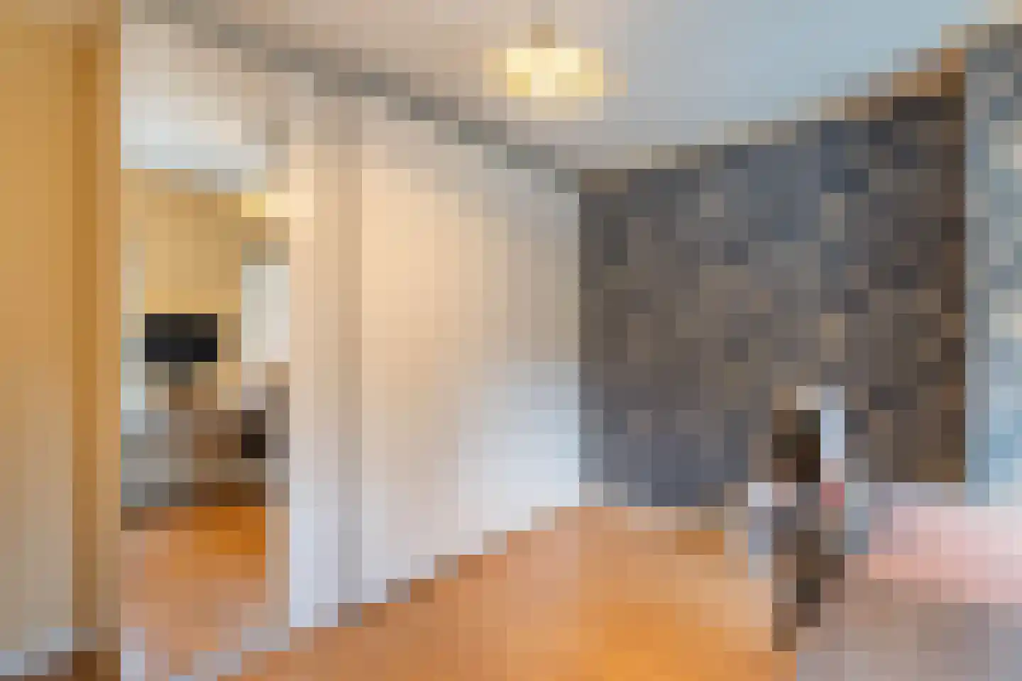Antoniusstraat 8 Ell thumbnail 28