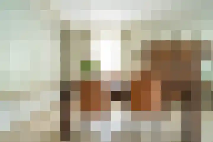 Antoniusstraat 8 Milheeze thumbnail 10