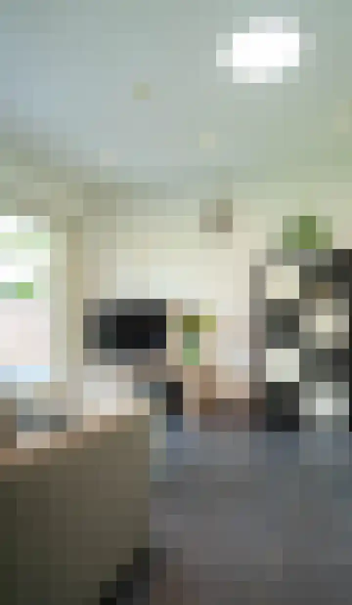 Antoniusstraat 8 Milheeze thumbnail 14