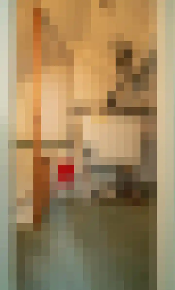 Antoniusstraat 8 Milheeze thumbnail 32