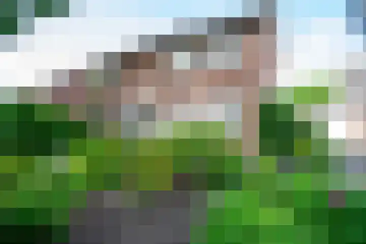 Antoniusstraat 8 Milheeze thumbnail 42