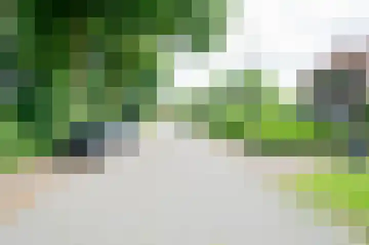 Antoniusstraat 8 Milheeze thumbnail 45
